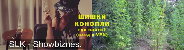 крисы Майский