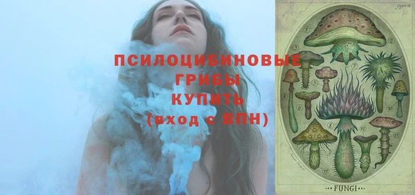 гашик Магас
