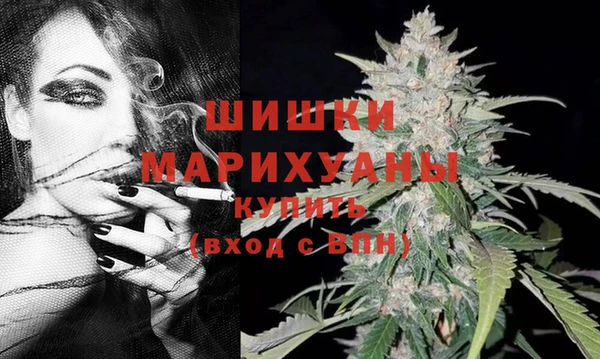 крисы Майский