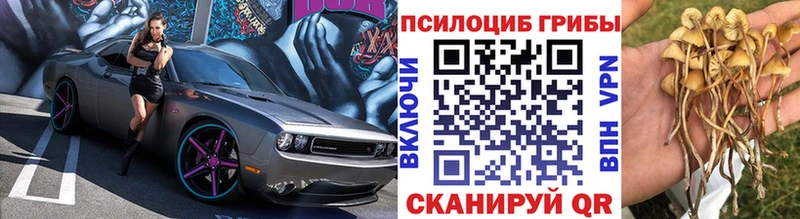 Галлюциногенные грибы прущие грибы Яблоновский